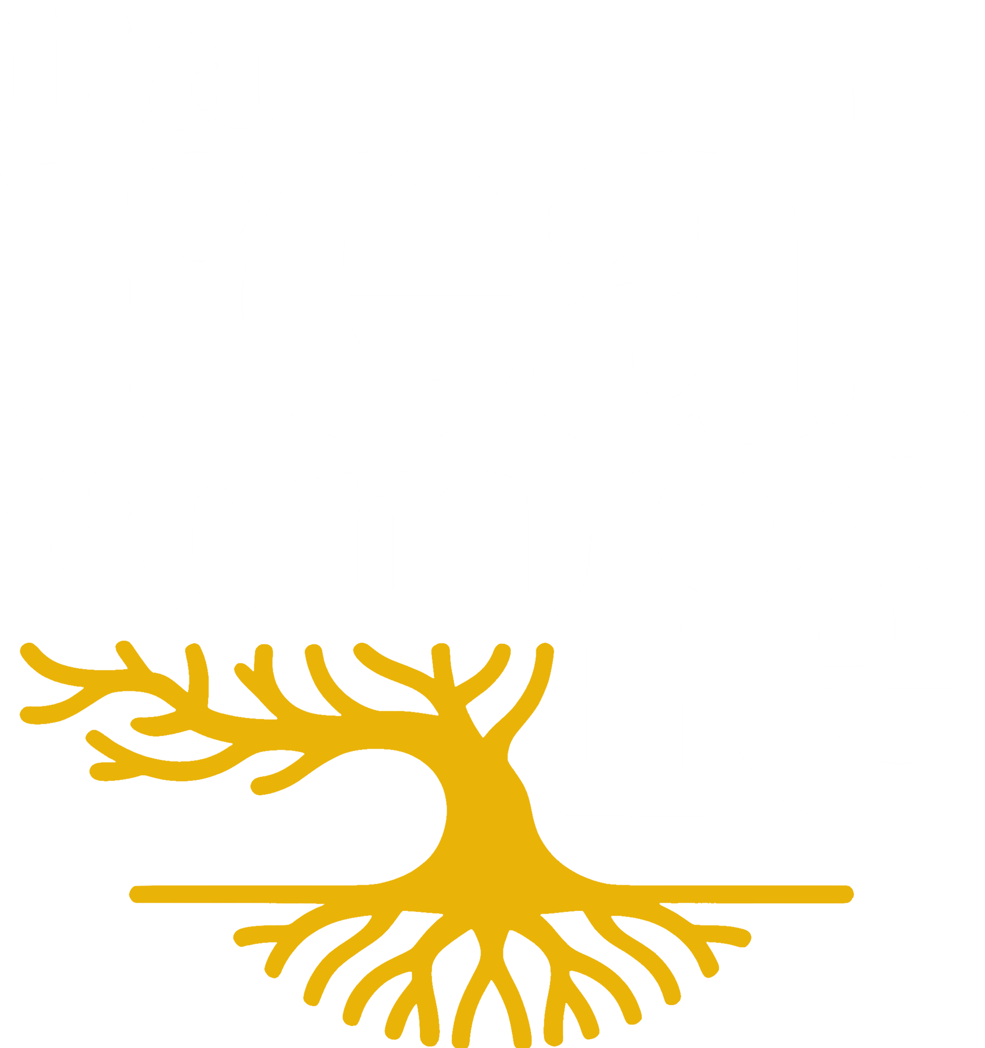 Na Real Com Fé